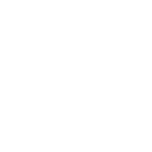 Boris Belov logo